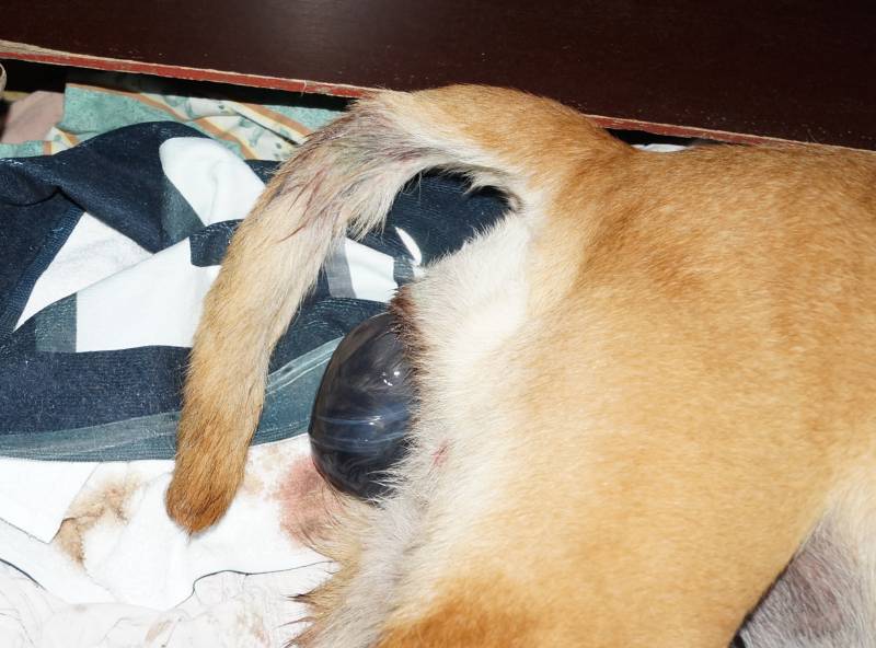 Die Geburt der kleinen F